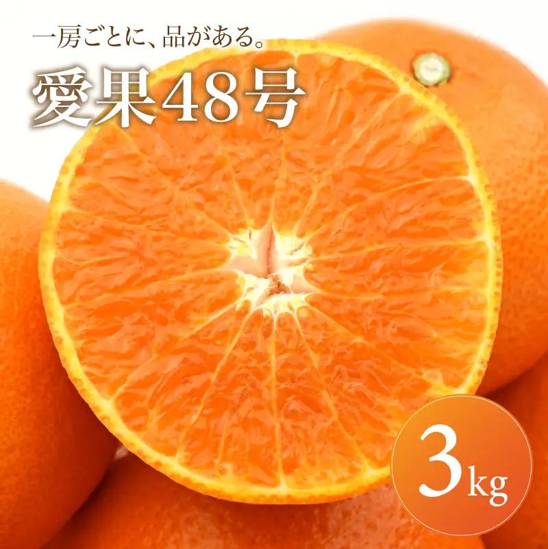 【2027年2月下旬頃から順次発送】あいか48号 家庭用 3kg | みかん 愛果48号 あいか  蜜柑 アイカ 柑橘 果物 愛媛のみかん くだもの 贈答 フルーツ ご家庭用 数量限定 愛媛県産 ミカン 愛媛県 松山市 【MKN006】
