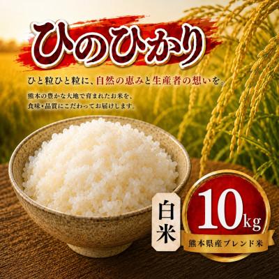 ふるさと納税 玉名市 【毎月定期便】熊本県産 ひのひかり 白米 10kg全3回