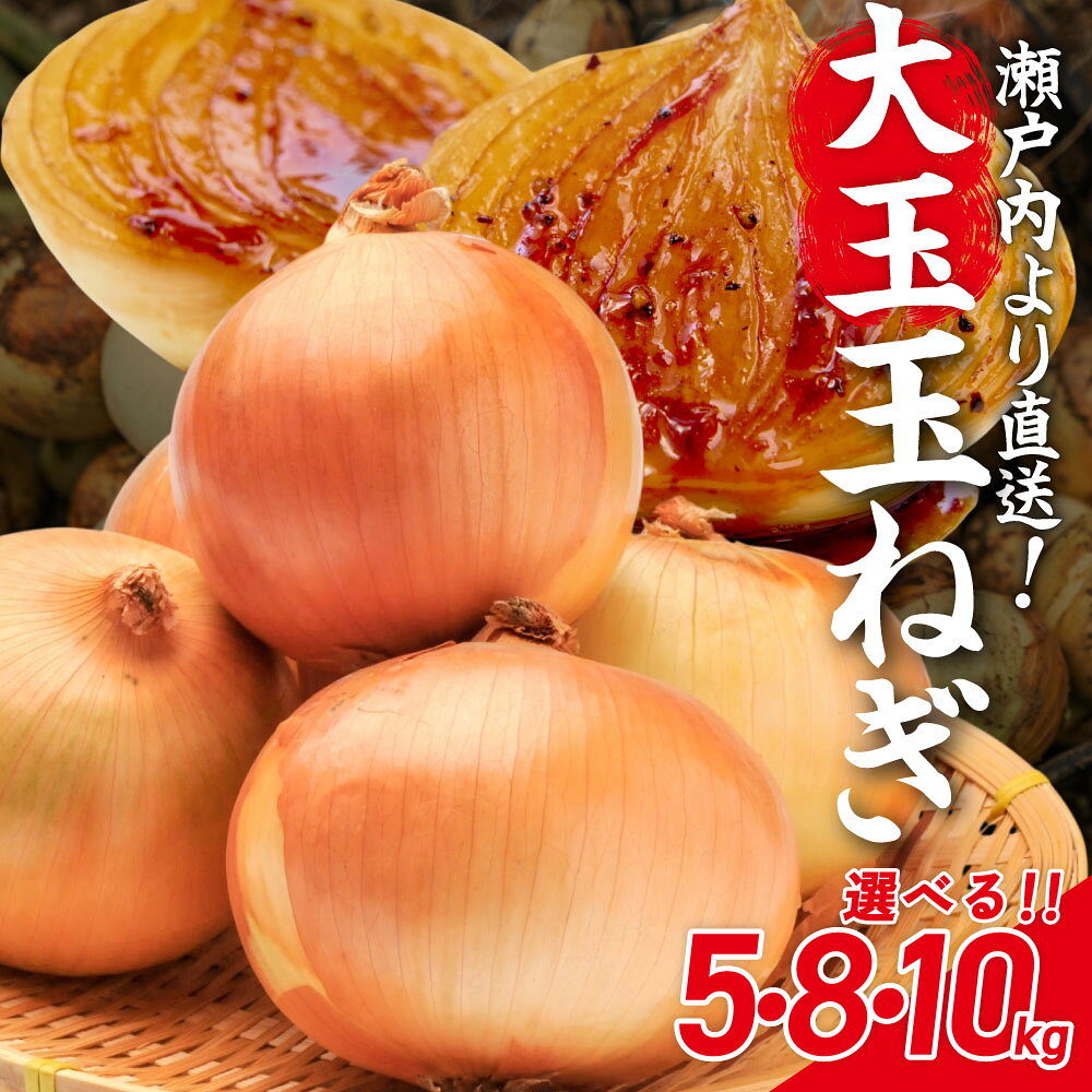 【ふるさと納税】＼選べる容量／ [限定]大玉の玉ねぎ のうの農園 山口県 防府市 玉ねぎ 5kg 8kg 10kg 赤玉ねぎ 大玉 甘い やわらかい 野菜 瀬戸内 国産 サラダ 新鮮