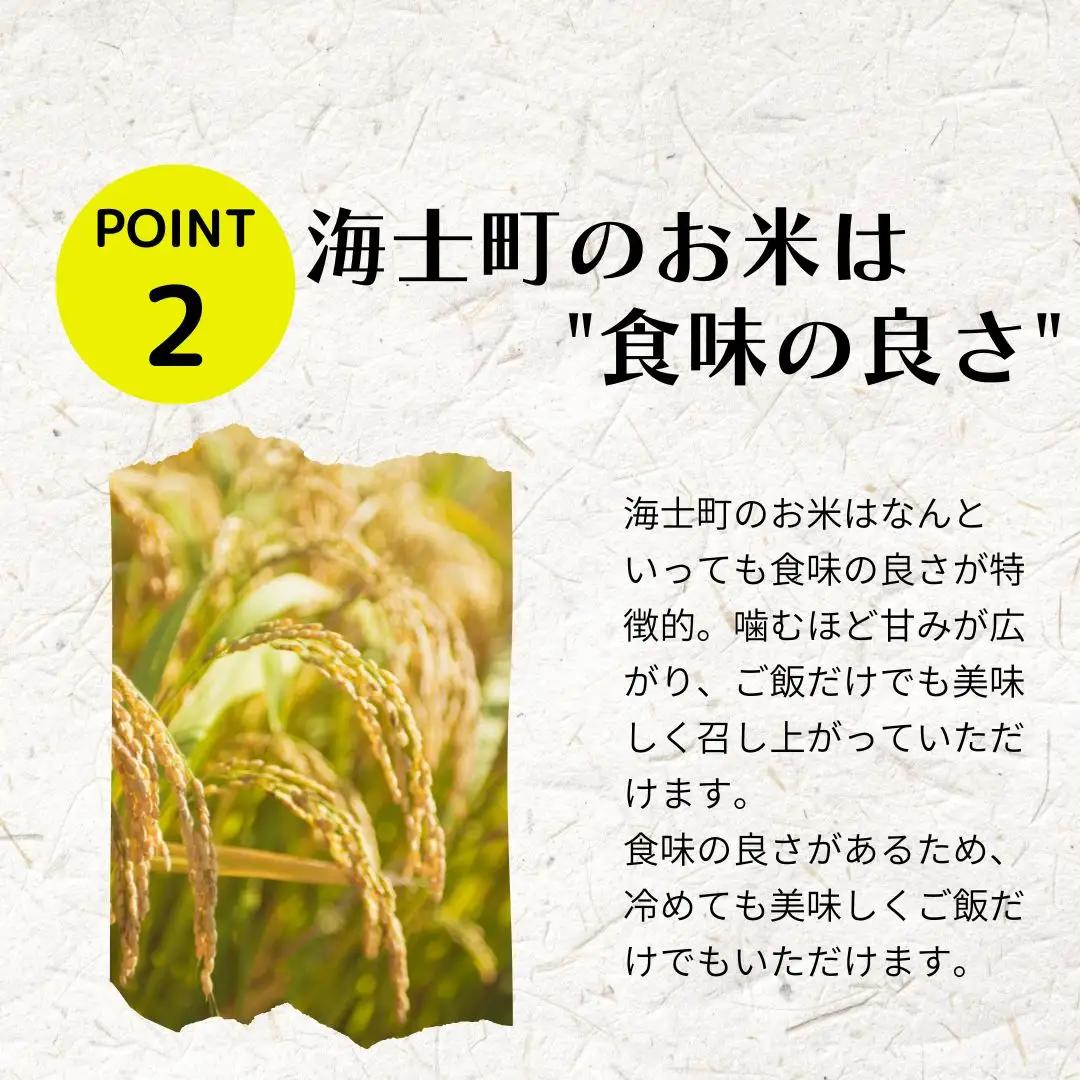 【令和8年度産】お米 きぬむすめ 5kg  精米