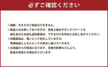【2025年12月上旬迄順次発送予定】 北海道産 在来種 ピンクにんにく 約1kg ニンニク ガーリック にんにく 大蒜 薬味 浦臼町 北海道