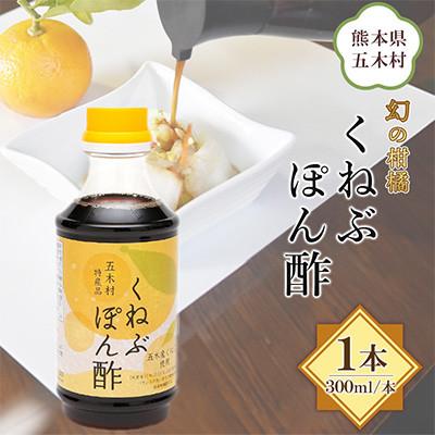 ふるさと納税 五木村 【道の駅オリジナル商品】くねぶぽん酢300ml