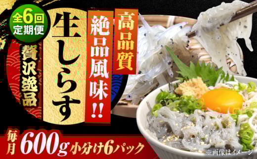 【全6回定期便】しらす 冷凍 生しらす 100g×6個 冷凍 しらす シラス 干し 釜揚げ 小分け 魚介類 鮮魚 ギフト 料理 レシピ シラス丼 しらす丼 海鮮丼 生 生産地 おつまみ ご飯のお供 グルメ やみつき 旬 国産 広島県産 リピート ギフト プレゼント 贈答 人気 高品質 好評 保存方法 江田島市/三島水産株式会社 [XCN021]