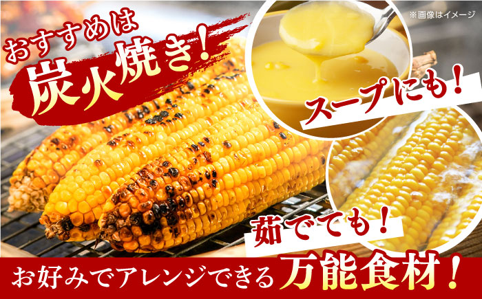 【先行予約】【７月から順次発送】葉付きスイートコーン 計約3kg 山都町産 とうもろこし 【大浜農園】 [YCE003]