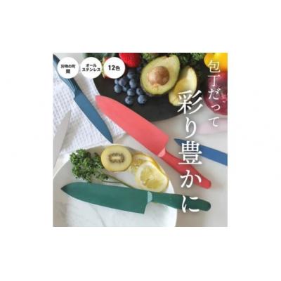 ふるさと納税 春日井市 オールステンレスのカラー包丁haleiro(ハレイロ)サントク・ペティ各1本　深緑(シンリョク)