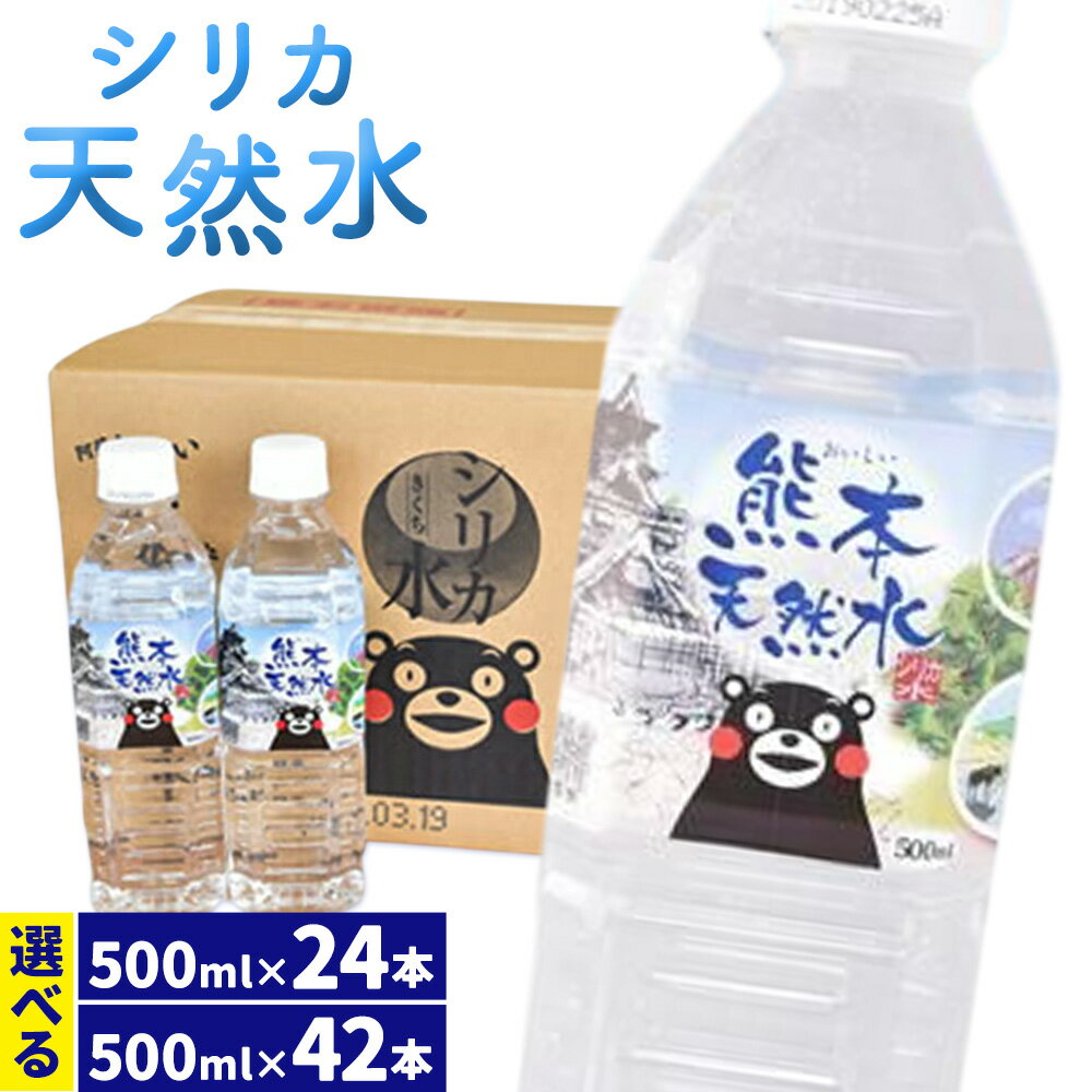【ふるさと納税】シリカ天然水 500ml 24本/42本 選べる本数 シリカ水 飲料水 ミネラルウォーター 水 軟水 鉱水 ペットボトル 熊本県 送料無料 《90日以内に出荷予定(土日祝除く)》