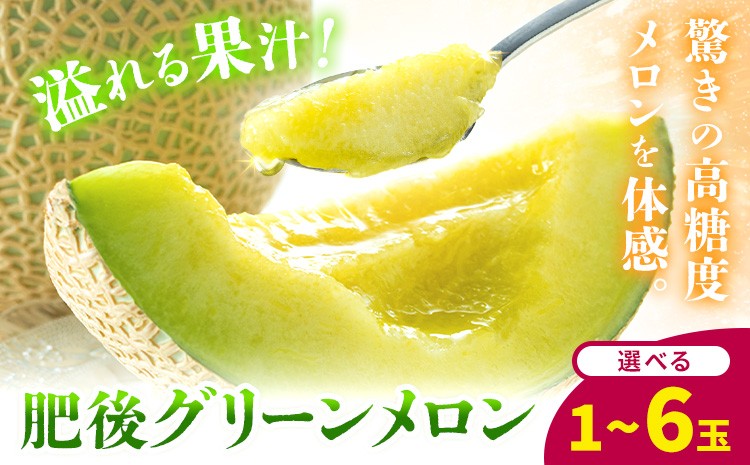 
                  【先行予約】肥後グリーンメロン 選べる 1玉 約1.5kg 2玉 約3.5kg 4～6玉 約7kg 日本フルーツ株式会社《5月上旬-7月下旬頃出荷》熊本県 菊池市 メロン 熊本県産
                