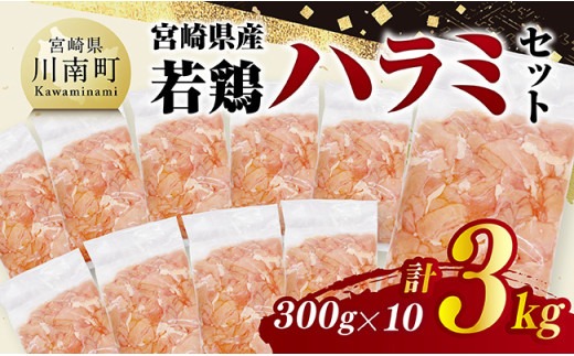 宮崎県産若鶏　ハラミ3kg（300g×10） 【 鶏肉 鶏 ハラミ 肉 宮崎県産 小分け パック 送料無料 】 [C11605]