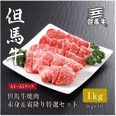 
＜但馬牛＞ 焼肉 赤身&霜降り 特選セット1kg【1313387】
