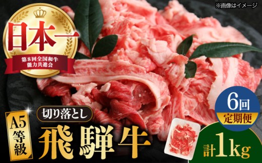 【6回定期便】【飛騨牛】A5等級 切り落とし 1kg × 6回 (計6kg) 和牛 ブランド牛 国産 牛肉 多治見市 / 渡辺精肉店 [TAZ016]