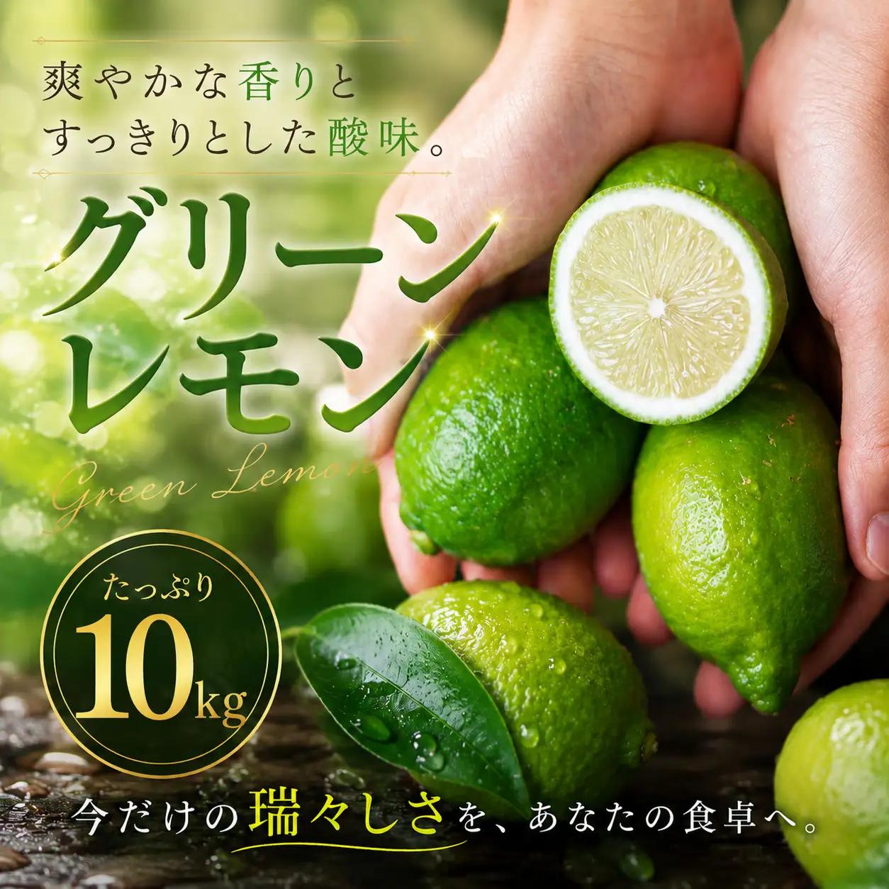 グリーン レモン 家庭用 10kg 【2026年9月下旬頃から順次発送】 | れもん レモン lemon 檸檬 訳あり フルーツ 柑橘 果物 おすすめ お勧め お取り寄せ ギフト 愛媛県 松山市 【MKN016】