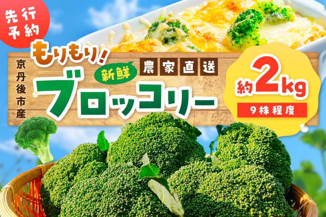 【先行予約】もりもり！ブロッコリー 約2kg（2025年11月中旬～発送）　9株程度 冷蔵 農家直送 ぶろっこりー 野菜 京野菜 新鮮　MY00005