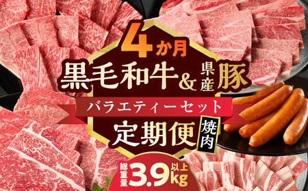 ≪4か月定期便≫黒毛和牛＆県産豚バラエティーセット(焼肉)総重量3.9kg以上 肉 牛 牛肉 国産_T030-1793