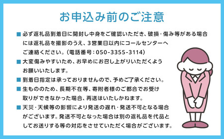 [HS]【定期便 全2回】ぶどう 2025年 先行予約 9月・10月発送 最高級品シャイン マスカット 晴王 1房 約600g ブドウ 葡萄  岡山県産船穂産 フルーツ 果物 ギフト