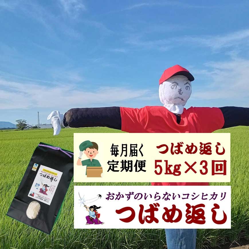 
                  【令和8年産米予約受付中】おかずのいらないコシヒカリ「つばめ返し5kg」白米3か月定期便(月イチで計3回) FC045009
                