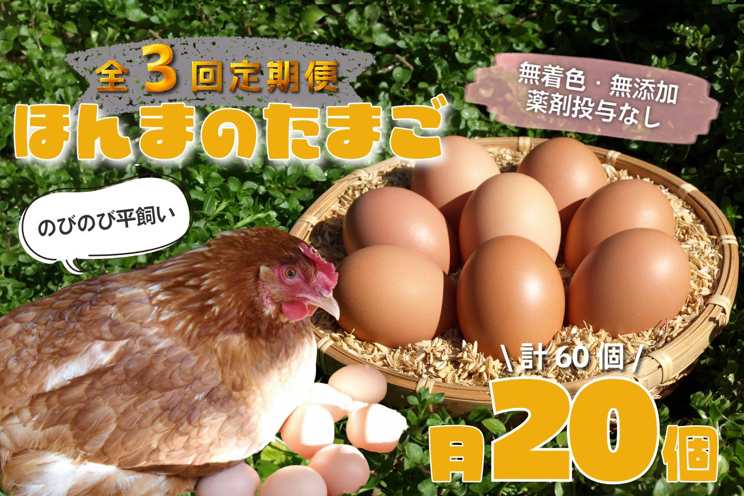 
            【定期便】平飼い有精卵 定期便60個（20個×全3回） 本間農園
          