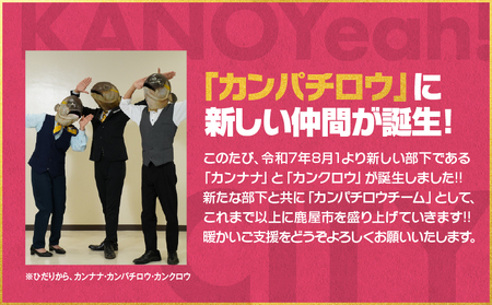 【 全6回 】 鹿屋 カンナナ便 KN000-T10 チーズ ヨーグルト ギリシャ プリン ブルーベリー 粒王 ジェラート アイス 干し芋 紅はるか 芋 フェスティバロ 唐芋レアケーキ スイーツ 菓子
