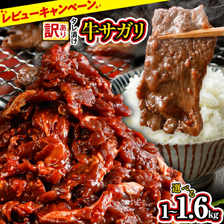 【ふるさと納税】訳あり 選べる 牛肉 牛サガリ 小分け 切り落とし 焼肉 1kg 1.6kg 希少部位 旨だれ お試し 味付け さがり 大容量 真空パック 本場のタレ ハラミ BBQ キャンプ 牛ハラミ 焼くだけ 焼肉 ご飯がすすむ 晩御飯 甘口 丼 焼き肉 不揃い レビューキャンペーン