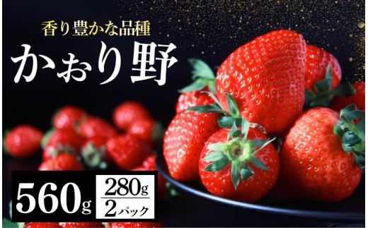 【3～5月発送】 いちご かおり野 DXパック 2パック こだわり いちご イチゴ strawberry 苺 新鮮 朝摘み 朝採り 産直 産地直送 安心安全 ichigo itigo いちご 苺 果物 フルーツ くだもの ギフト プレゼント 贈物 贈答 ケーキ ふるさと納税 ふるさと納税苺 いちご 静岡県 南伊豆町 みなみのいちご園　<AA-20>