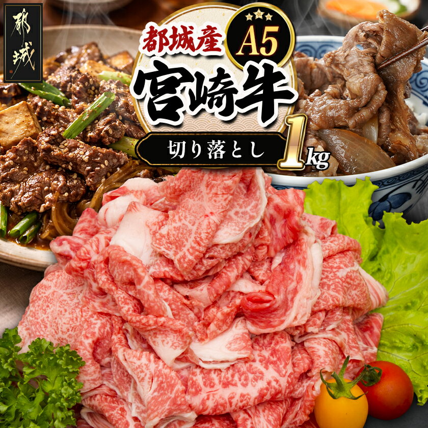 【ふるさと納税】宮崎牛切り落とし 1kg【A5】 - 牛肉 都城産宮崎牛(A5) 切り落とし 1kg(250g×4パック) ブランド牛 国産黒毛和牛 しもふり肉の切り落とし合計1キロ すき焼き・しゃぶしゃぶに A5等級 送料無料 AC-A0-001【宮崎県都城市は2年連続ふるさと納税日本一！】