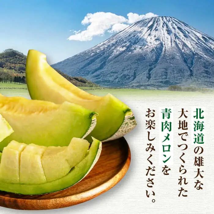 【先行予約】青肉メロン 2玉  [AJAH022] メロン