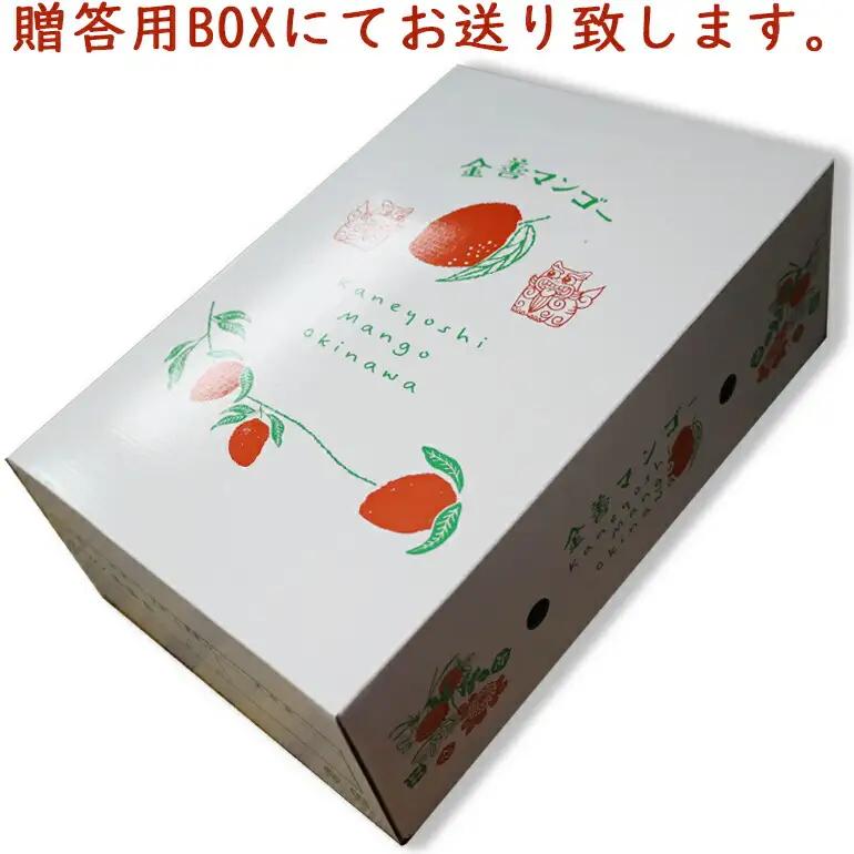 【 先行予約 2026年 発送 】 かねよしマンゴーの甘くとろける マンゴー 2kg ( 贈答用 ) 沖縄県産 アップルマンゴー アーウィンマンゴー 2キロ 国産 完熟マンゴー 果物 くだもの フルー