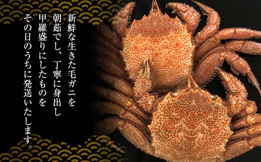 【冷蔵発送】毛ガニ甲羅盛り3杯入り かに 毛蟹 毛がに 毛ガニ 海の幸 カニ 蟹 ガニ 魚介 海産物 海鮮 食品 F6P-2461