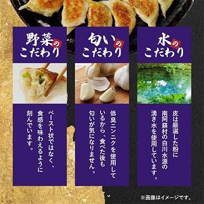 ふるさと納税 延岡市 「ぎょうざの店　黄楊」の手作り餃子　60個　 |  | 03