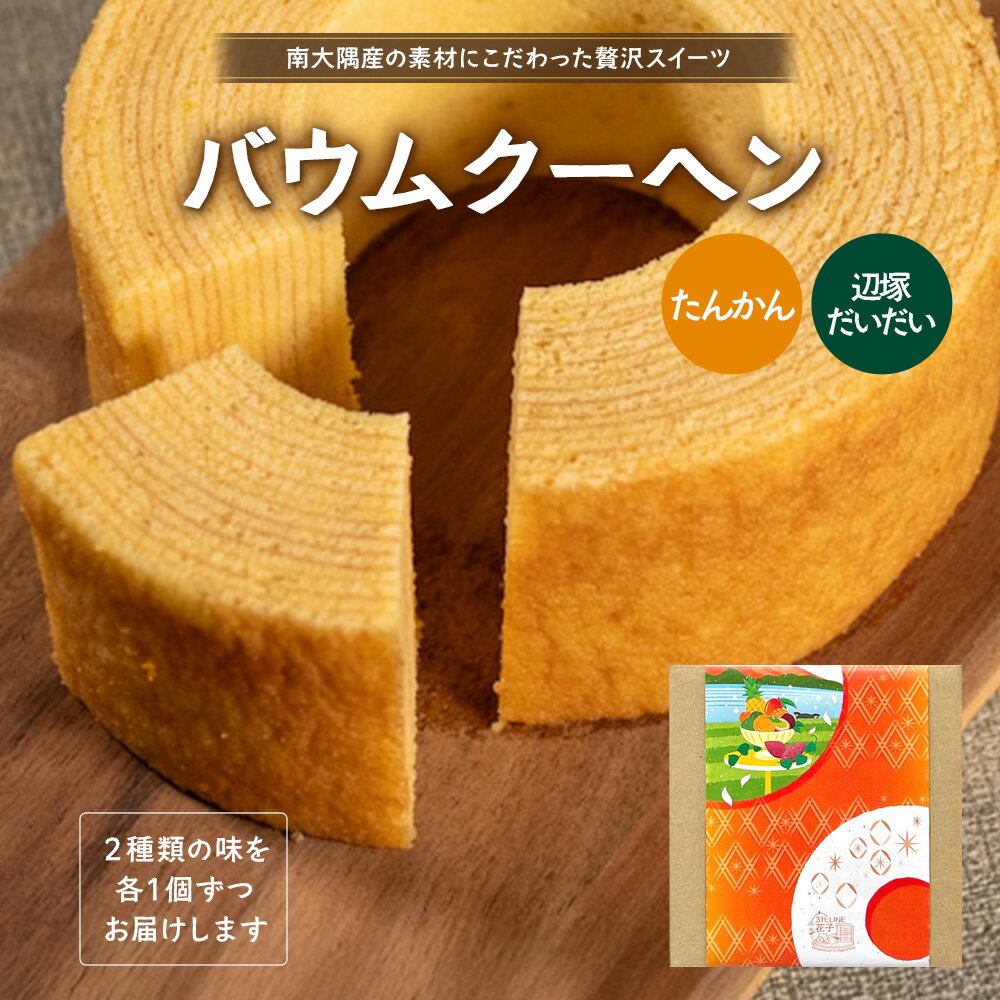 【ふるさと納税】素材にこだわった南大隅町の手作りスイーツ　バウムクーヘン 2個セット ( たんかん ・ 辺塚だいだい )