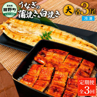 田野町産うなぎの蒲焼き(大)+うなぎの白焼き(大) 各3尾×3回 定期便 3ヶ月 定期コース 1尾あたり120～150g タレ付き 山椒付き うなぎ 鰻 ウナギ 蒲焼き かば焼き 白焼 国産 冷凍 配