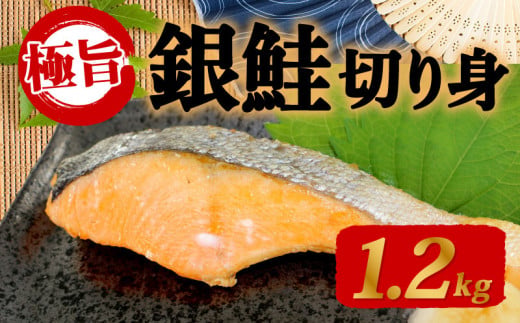 甘塩 銀鮭 切身 1.2kg 片身分 鮭 サーモン 切り身 鮭 便利 簡単調理 惣菜 美味しい鮭 夕食 朝食 夕食 晩ごはん 弁当 おかず ご飯 夕ご飯 大容量 便利 訳あり 年末 年始 ギフト プレゼント ご家庭で 指定日可 下関 山口 鮭料理 美味しいサーモン サーモン料理 サーモンの切り身