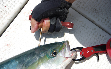 [ベルモント] FISH PICK 一撃コンパクト (レッド) フィッシュピック 脳締め 脳天締め 小魚 フィッシング 魚 釣り フィッシング用品 アウトドア 燕三条製 【011S196】