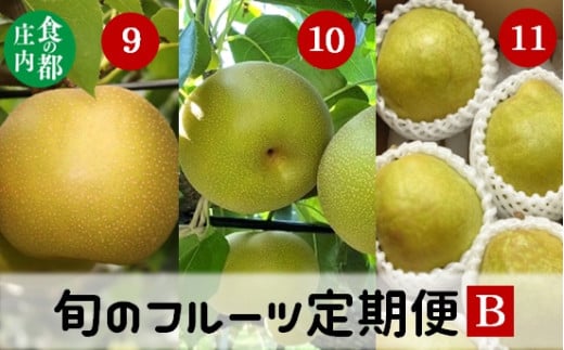 食の都庄内　《9・10・11月お届け-B》旬のフルーツの3ヶ月定期便