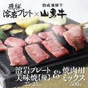 【ふるさと納税】「山勇牛」焼肉用ミックス 500g＆溶岩プレート 和牛 飛騨牛 砂原石材 溶岩石 BBQ アウトドア[Q191]