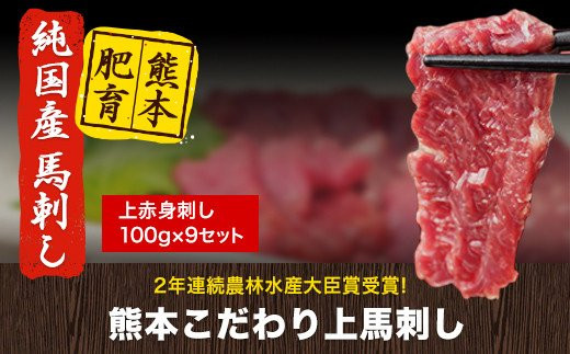 馬刺し 上赤身 ブロック 国産 熊本肥育 冷凍 生食用 たれ付き(10ml×9袋) 100g×9セット 肉 絶品 牛肉よりヘルシー 馬肉 予約 平成27年28年 農林水産大臣賞受賞 熊本県氷川町《7-14日以内に出荷予定(土日祝除く)》