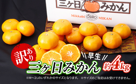 【2025年11月中旬より順次発送】 訳あり 三ヶ日みかん 早生 4kg 早生みかん みかん 蜜柑 ミカン 果物 くだもの 旬のフルーツ 旬の果物 季節のフルーツ 季節の果物 柑橘 柑橘類 訳アリ 静岡 静岡県 浜松市