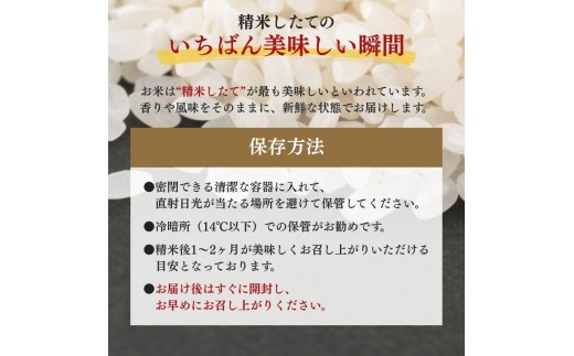 【12月下旬より配送】 新之助 2kg  6か月定期便 新潟県 上越市産 令和8年産 お米 精米 米 ご飯 送料無料