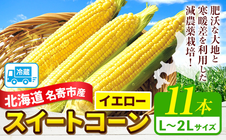 
                  【2026年出荷】北海道 名寄産 スイートコーン イエロー L〜2Lサイズ 11本 《2026年8月中旬-9月中旬頃出荷》 NPO法人なよろ観光まちづくり協会 北海道 とうもろこし トウモロコシ  Lサイズ 2Lサイズ 取り寄せ 新鮮 産地直送 甘い 糖度 冷蔵
                