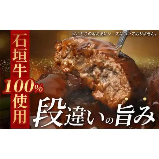 石垣牛100％ ハンバーグ　(100ｇ×15個)　  ID-2