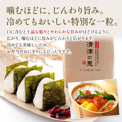【令和8年産 先行予約】〈定期便〉魚沼産特別栽培米コシヒカリ［清津の恵］精米10kg（5kgx2袋）全12回