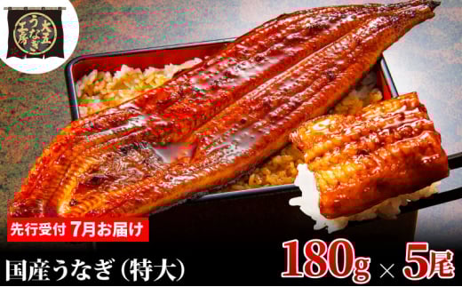 [№5695-1939]先行受付 【7月上旬配送】 うなぎ蒲焼 180g×5尾(900g) うなぎ 鰻 蒲焼 蒲焼き 大五通商 静岡 島田市