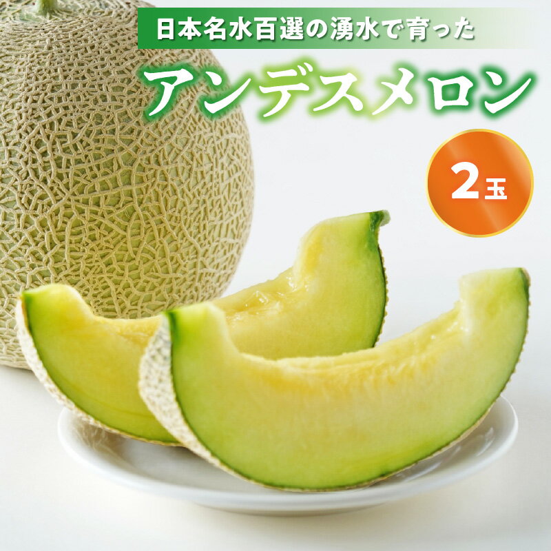 【ふるさと納税】6月中旬より発送予定 進栄 アンデスメロン 2玉 日本名水百選 轟水源 湧水で育った メロン 果肉 ジューシー 香り 甘い お取り寄せ お取り寄せフルーツ 果物 フルーツ 九州 九州産 熊本 熊本県産 送料無料 【熊本県宇土市】