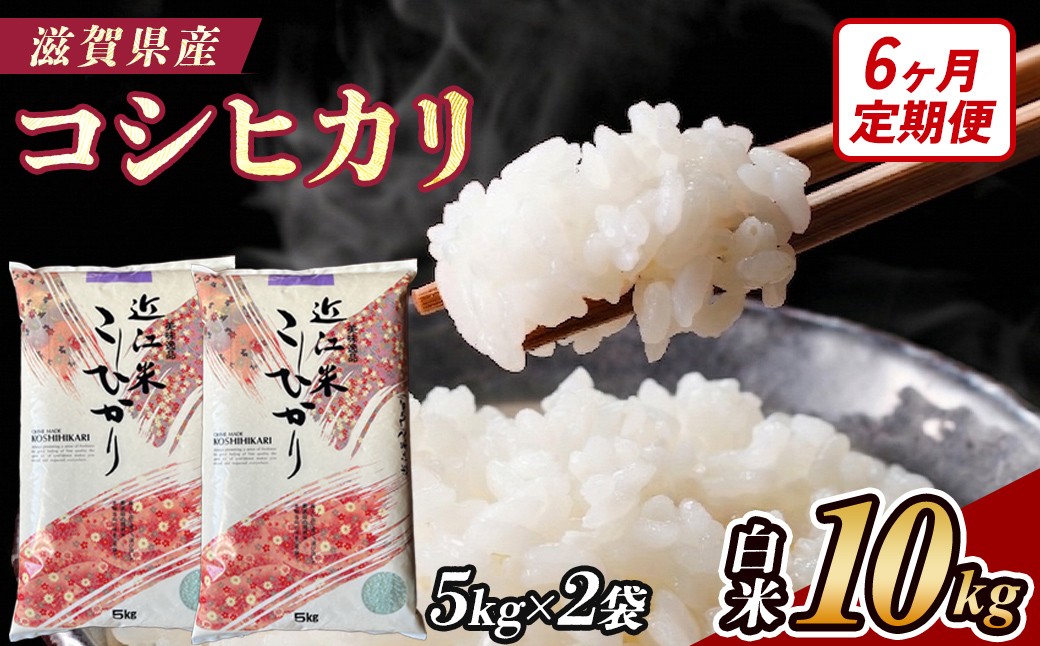 
                  【6ヶ月定期便】【令和7年産】近江米コシヒカリ白米10kg（5kg×2袋）
                
