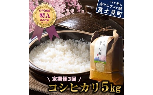 【定期便 3ヶ月】 信州 長野県産 特A こしひかり 5kg 田端さくら米 コシヒカリ 新米 米 5kg 令和7年産