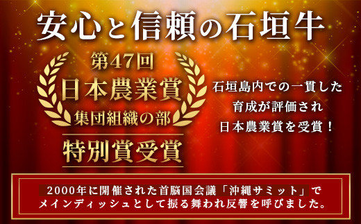 石垣牛100％ ハンバーグ　(100ｇ×10個)【化粧箱入り】｜国産 石垣牛100% 高級 黒毛和牛 ビーフ ハンバーグ詰め合わせ  ID-1