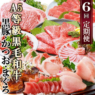 【ふるさと納税】定期便(6回)A5等級黒毛和牛・黒豚・かつお・まぐろ FF-0058_ 肉 お肉 牛肉 サーロイン ステーキ 焼肉 ハンバーグ 切り落とし 豚肉 ロース バラ しゃぶしゃぶ 鮪 鰹 カツオ 【配送不可地域：離島】【1166770】