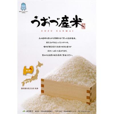 ふるさと納税 魚津市 【毎月定期便】【6ヶ月定期便】富山県 うおづ産米「コシヒカリ」10kg(5kg×2袋)全6回