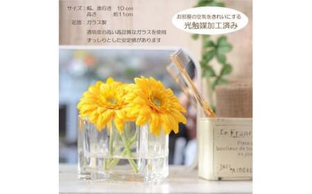 【ホットピンク】 マジカルウォーター ｢ ガーベラ スクエア ｣