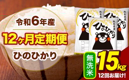 令和6年産 【12ヶ月定期便】  無洗米 米 ひのひかり 15kg《お申し込み月の翌月から出荷開始》熊本県 大津町 国産 熊本県産 無洗米 送料無料 ヒノヒカリ こめ お米