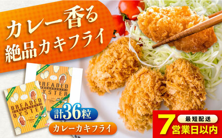 【スピード発送】牡蠣フライ カレー味 冷凍 牡蠣[BACG010]